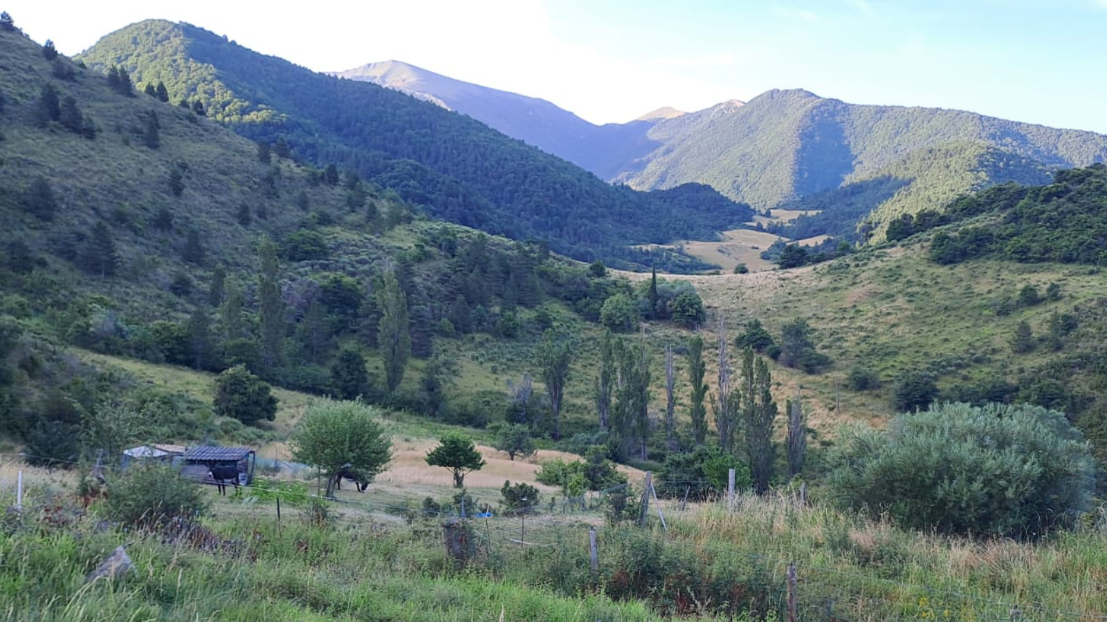 Séance de relaxation aux gongs à Lyon