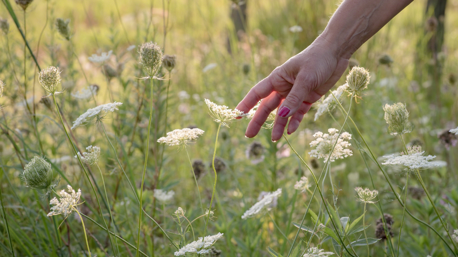Programme des retraites et séjour kundalini yoga dans la Drôme