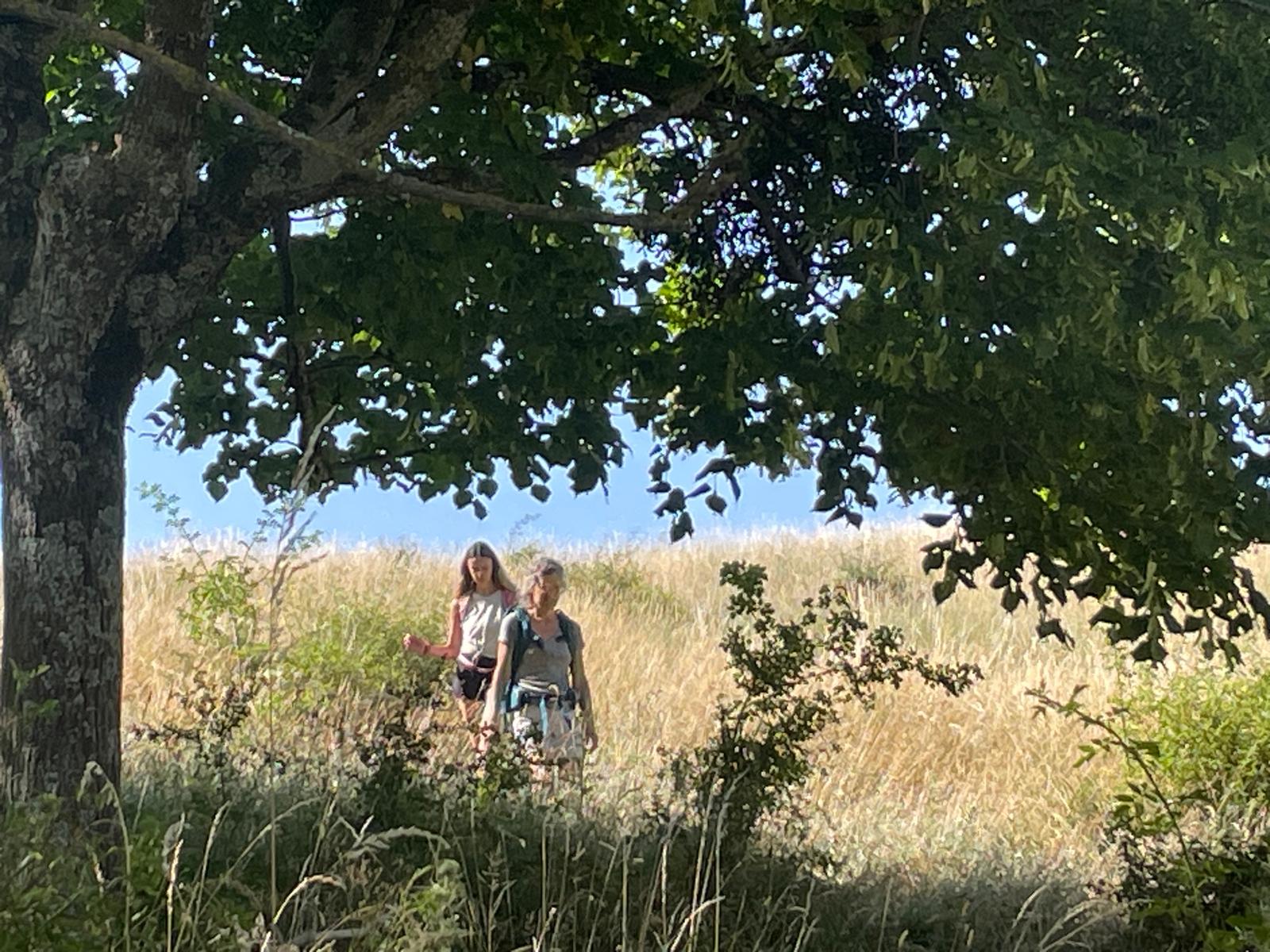 Séance de relaxation aux gongs à Lyon