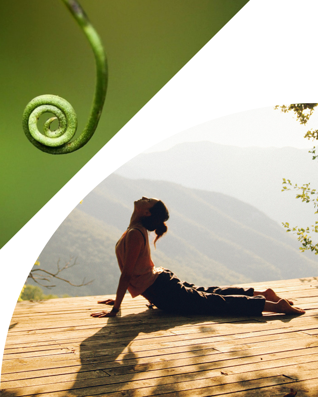 Posture de yoga pour le séjour retraite de yoga en drôme